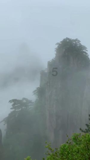 逃出灰绿房